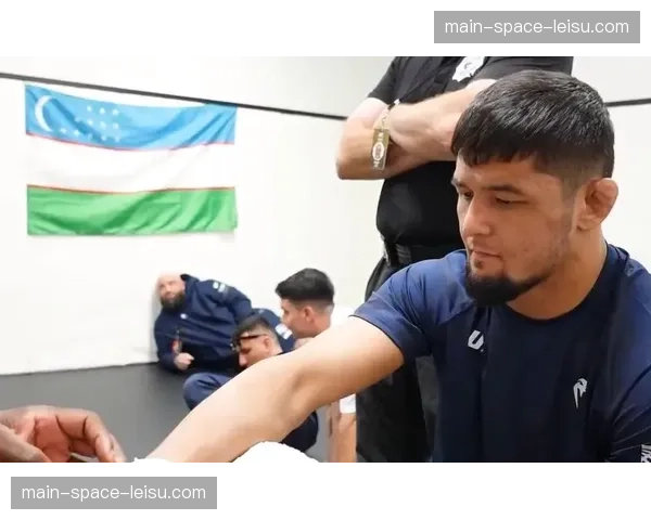 数字统计：UFC格斗之夜安卡拉站现场上座率创土耳其体育赛事新高