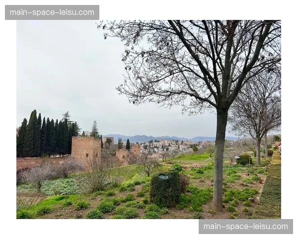 格拉纳达主场对阵瓦伦西亚，比赛因球迷向场内投掷杂物中断五分钟